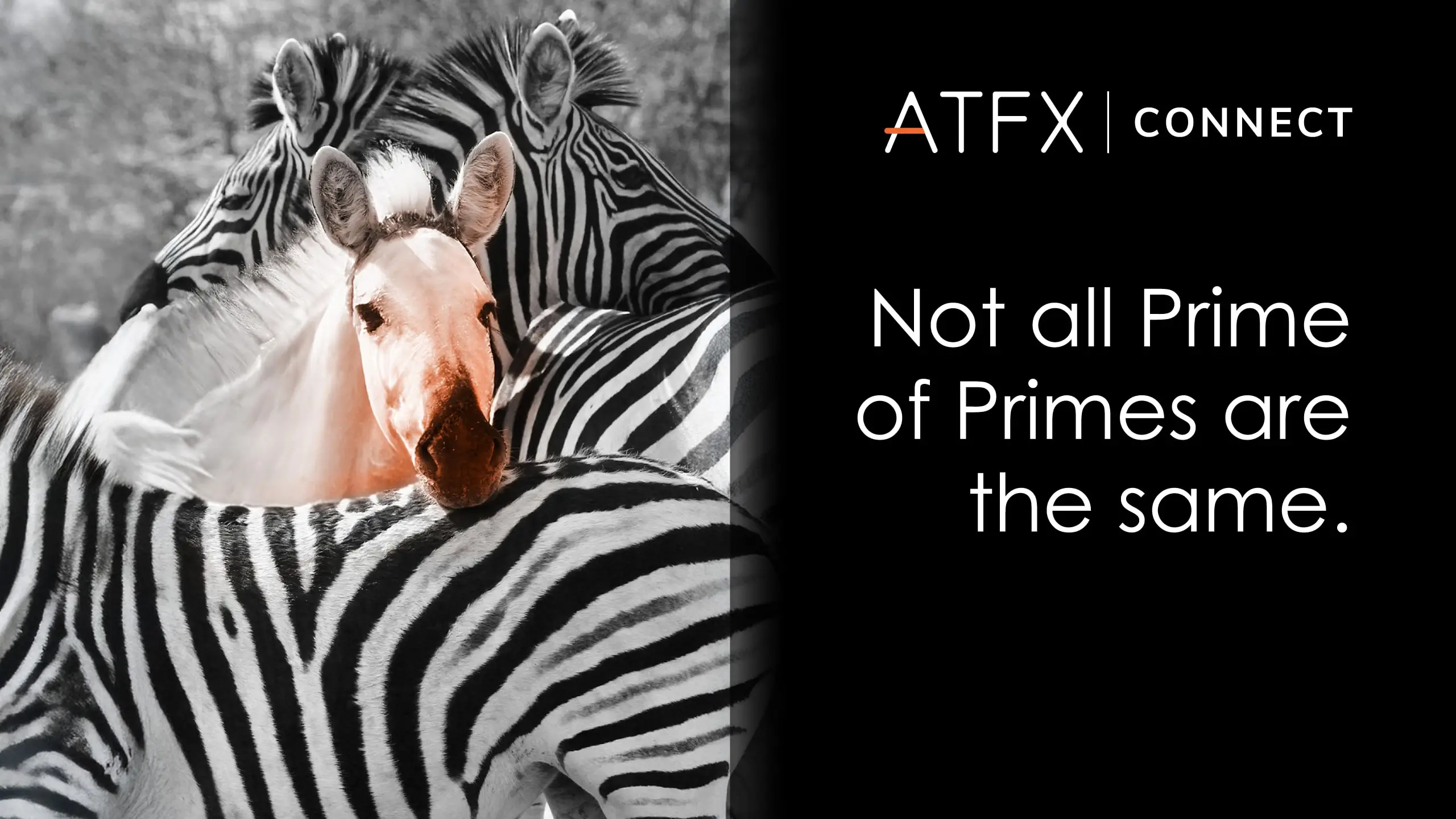 ATFX_Connect_PoP_Campaign_thumbnail_2560x1440